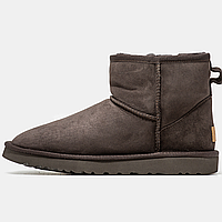 Сапоги зимние мужские и женские UGG Classic Mini Chocolate с мехом / УГГи мини коричневые на меху 43