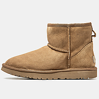 Сапоги зимние мужские и женские UGG Classic Mini Chestnut с мехом / УГГи мини рыжие на меху 36