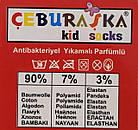 Дитячі шкарпетки Cheburashka зимові махрові з тормозками МАШИНКА 12 пар/уп мікс кольорів, фото 2