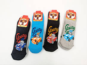 Дитячі шкарпетки Cheburashka зимові махрові з тормозками МАШИНКА 12 пар/уп мікс кольорів