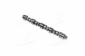 Розподильний вал CHERY AMULET (RIDER) RD.480EEBJ1006015 UA59