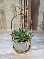 Горшок керамический с подставкой серый мраморный для комнатных растений суккулентов