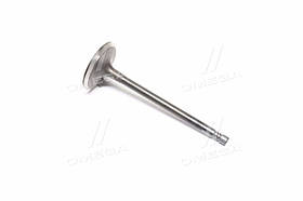 Клапан впускний (вир-во GM) 96335947 UA59