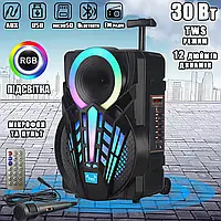 Портативная акустическая система с караоке микрофоном Winso GZ-612-12"x1 Bluetooth с RGB подсветкой IND