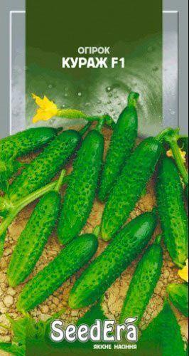 Насіння огірка Кураж F1, 10 насіння — огірок партенокарпічний, Syngenta