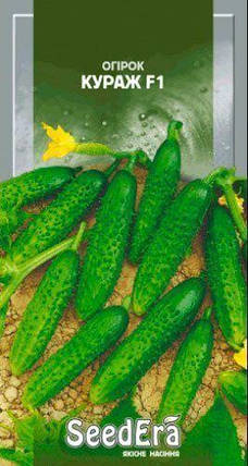 Насіння огірка Кураж F1, 10 насіння — огірок партенокарпічний, Syngenta, фото 1