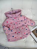 Деми куртка на девочку в цветные шарики Розовая 26721 154, Розовый, Для девочек, Весна Осень, 100 , 2 года