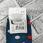 Шкарпетки жіночі високі зимові з махрою з відворотом р.23-25 горох асорті ЕКО 30038469, фото 5