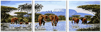 Картина за номерами, Слони на водопоі (VPT053) 50 х 150 см, Babylon