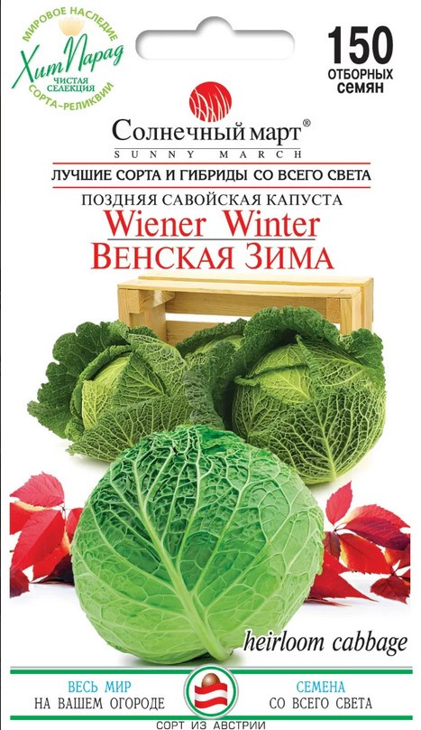 Капуста Савойська Віденська зима 150 шт