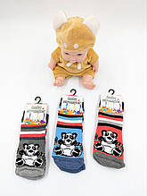 Дитячі шкарпетки ABS  зимові махрові з тормозками ПАНДА на 1 рік 12 пар/уп мікс кольорів