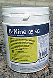 B-Nine 85 SG (Бі Нейн) 100 г регулятор росту (на розвіс), фото 2