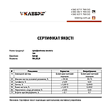 Сульфамінова кислота ТМ Клебріг 5 кг, фото 5