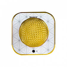 Бездротовий Мікрофон-Караоке WSTER WS-1688 gold YU227, фото 4