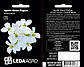 Арабіс Білий Подіум, кавказький 10 шт (Leda Agro), фото 2