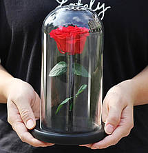Троянда в колбі | Вічна Червона троянда YU227, фото 3