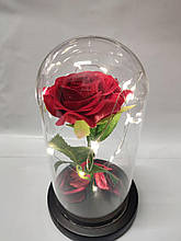Вічна троянда в колбі з підсвічуванням Червона YU227