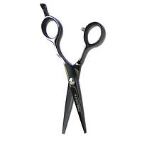 Ножиці для стрижки PROline 5.5" (R1-55)