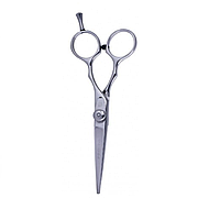 Ножиці для стрижки прямі PROline 5.5" (AK16)