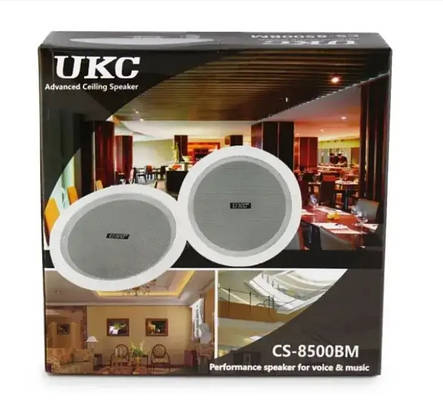Стельові динаміки (колонки) CS 6500 YU227, фото 3