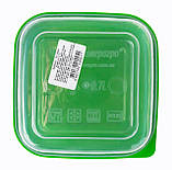 Харчовий контейнер пластиковий (судок) 0,7 літра (ПолимерАгро) 5.5х14.5х14.5 см, фото 4