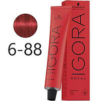 Крем-краска для волос Schwarzkopf Igora Royal 6-88 Темно-Русый Красный Экстра 60 мл original