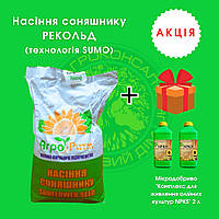Насіння соняшнику Рекольд під гербіцид Гранстар 50 гр.+подарунок