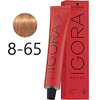 Крем-краска для волос Schwarzkopf Igora Royal 8-65 Светло-Русый Шоколадно-Золотистый 60 мл original