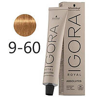 Фарба для сивого волосся Schwarzkopf Igora Absolutes 9-60 Екстра світлий блондин шоколадний натуральний 60 мл original