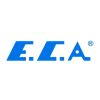 E. C. A