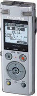 Цифровой диктофон Olympus DM-770 8GB (V414131SE000)