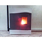 Пелетна піч з водяним контуром Daisy Edilkamin, фото 5