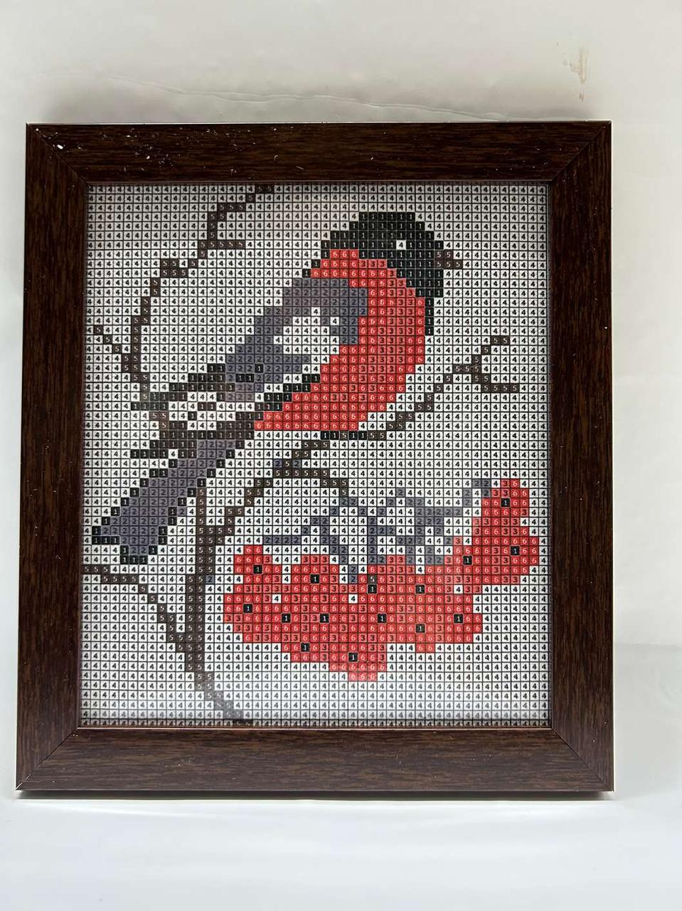 Алмазна вишивка з рамкою АВ 5061 (повне зашивання)