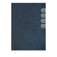 Щоденник недатований INDEX A5 синій BM.2041-02