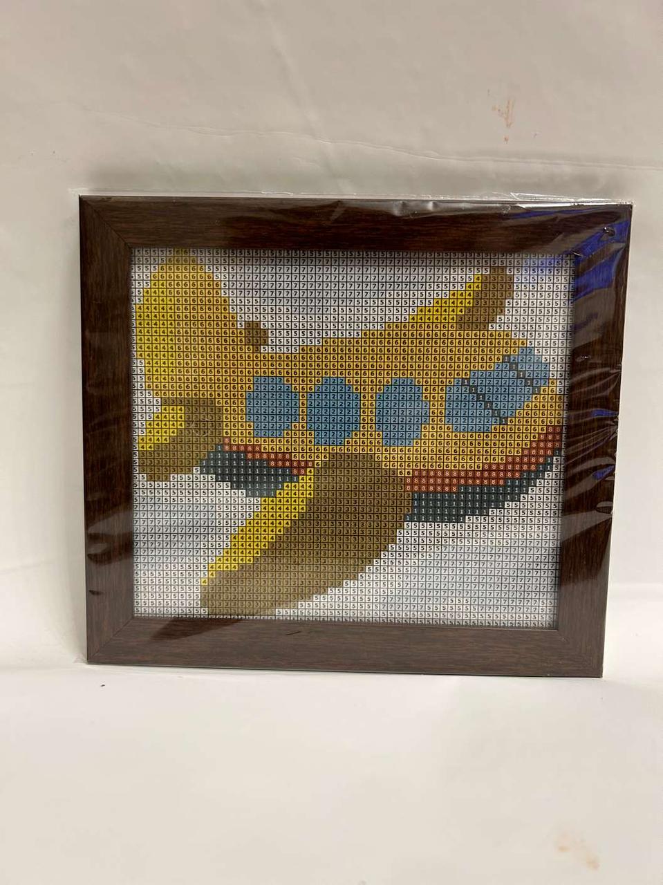 Алмазна вишивка з рамкою АВ 5037 (повне зашивання)