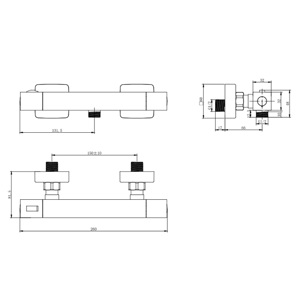 Смеситель для душа термостатический душевой PANARO Ø25 CORSO (ED-2D185C) (9659300) GL-55 - фото 5 - id-p2019155466