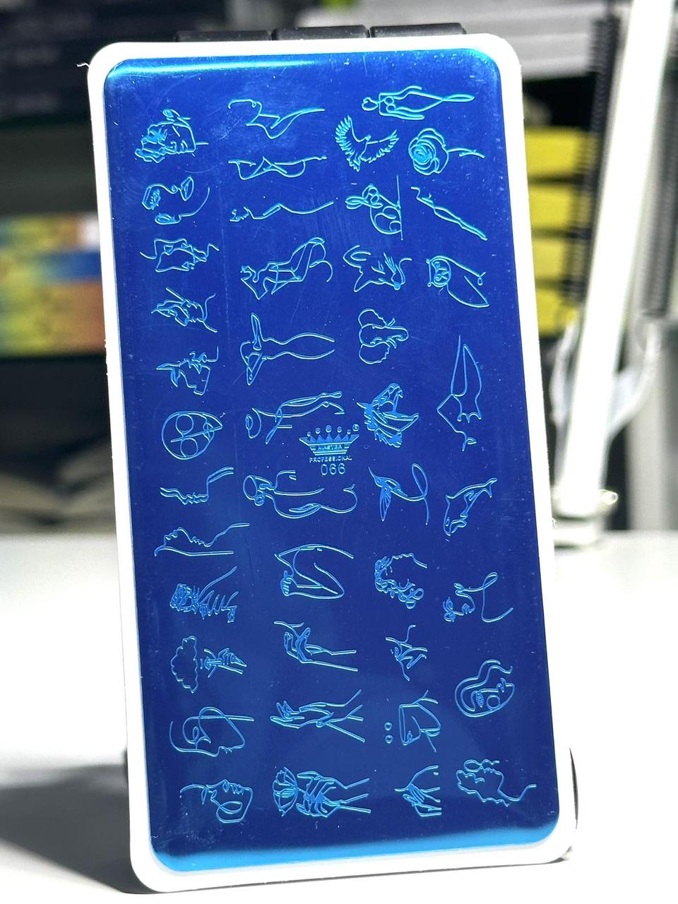 Пластина для стемпінгу Master Professional 066