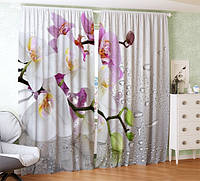 Фото шторы орхидея