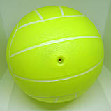 М'яч дитячий волейбольний гумовий d 17 см., фото 2