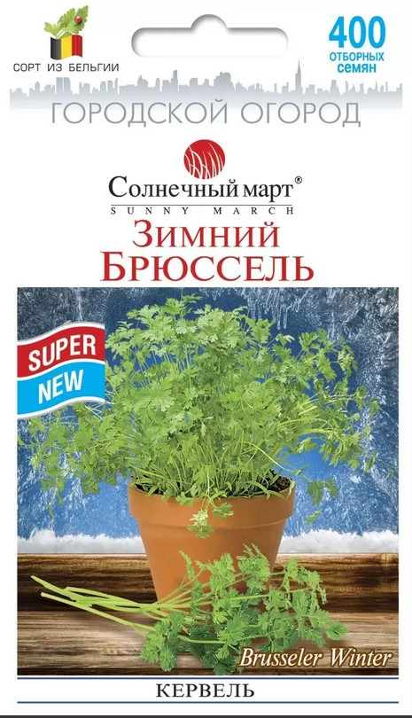 Кервель Зимовий Брюссель 400 шт