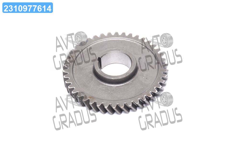 Шестерня приводу масляного насоса Д 240, 243, 245 Z=42 (вир-во Україна)