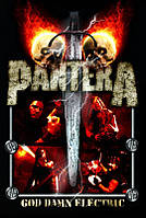 Pantera американская метал-группа - постер