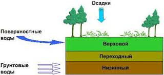 кислий торф, рижий торф, торф, продаж торфу, верховий торф, перехідної торф, торф купити, торф в Україні