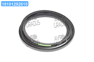 Ремінь клиновий CNH (80422731) (OPTIBELT) 1000696