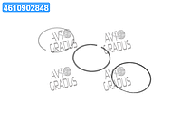 Кольца поршневые VAG 81,01 AVU 1,6 1x1,2x2 (пр-во GOETZE) 08-148300-00