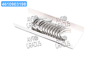 Вкладыши коренные OPEL HL STD 1,6/1,8/2,0/1,6D/1,7D (пр-во GLYCO) H982/5 STD