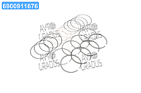 Кольца поршневые /к-т на 4 поршня/0.25 LANOS/LEMAN/CIELO (пр-во PMC-ESSENCE) HCIC-002A