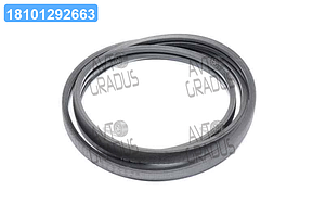 Ремінь багатострумковий CNH (061700.1; 86627796) (OPTIBELT) 1003356