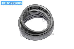 Ремінь багатострумковий CLAAS (644685.1) (OPTIBELT) 1003359