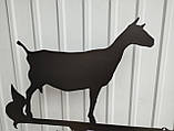 Флюгер Коза №2, флюгер на дах з металу 2 мм., фото 4